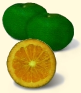 Green Mandarins